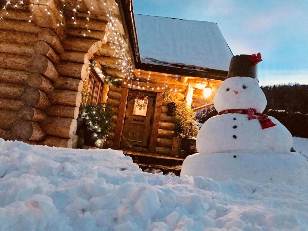 een sneeuwpop voor een blokhut bij UDany Weekend in Ustrzyki Dolne