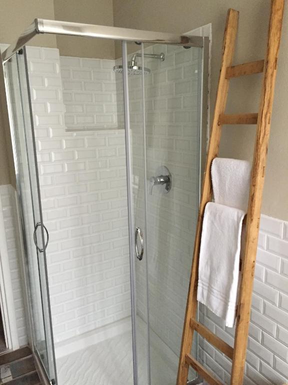 prysznic ze szklanymi drzwiami i drabiną w obiekcie Corte del Garda Home w mieście Castelnuovo del Garda