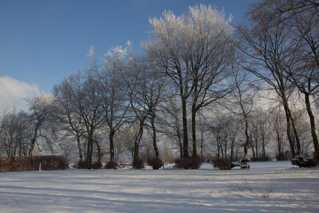 Ferienhaus Vennblick - 18