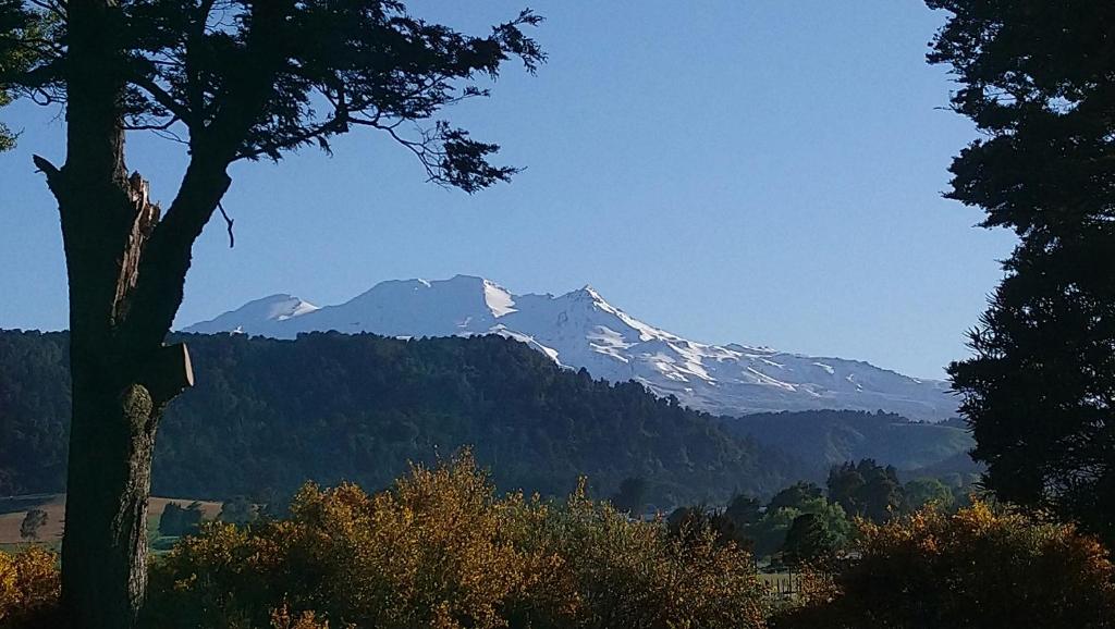 a snow covered mountain in the distance with a tree at Two Rivers Ohakune in Ohakune