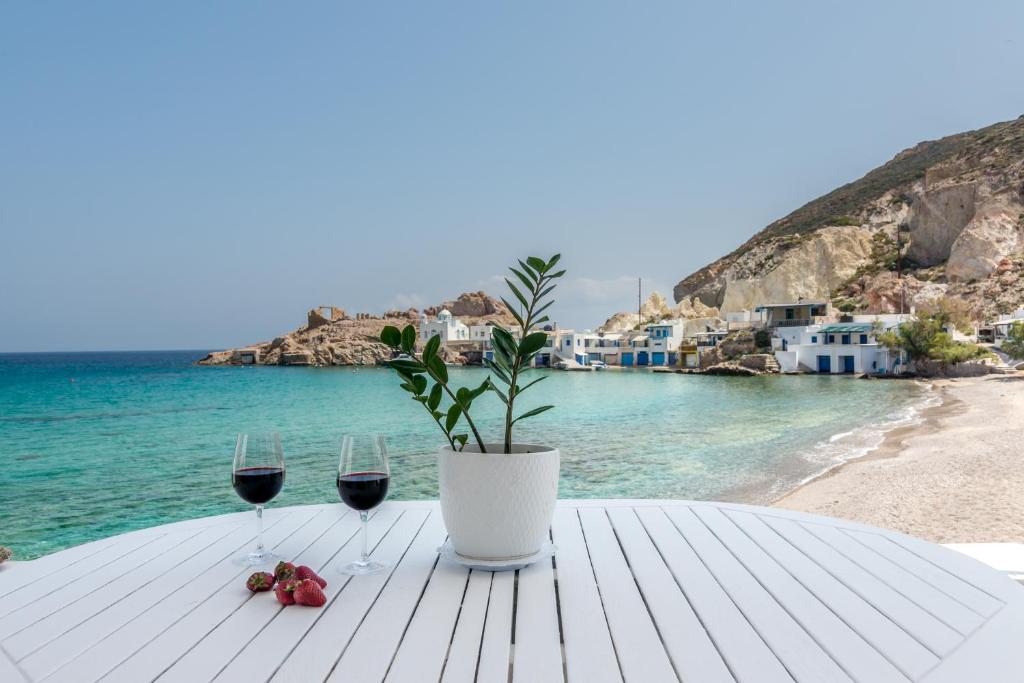 een tafel met twee glazen wijn en een potplant bij Blue Mare Apartments on the beach in Firopótamos