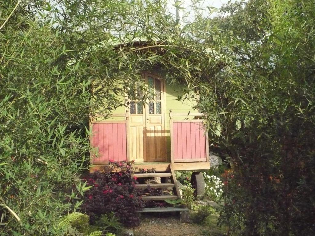 Zahrada ubytování Hosteria La Roulotte - Mindo