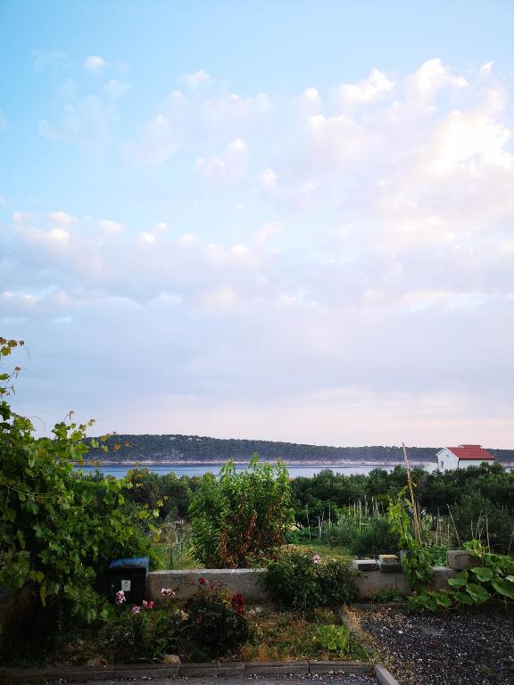 a view of the water from a garden at Apartment Zekija in Barbat na Rabu
