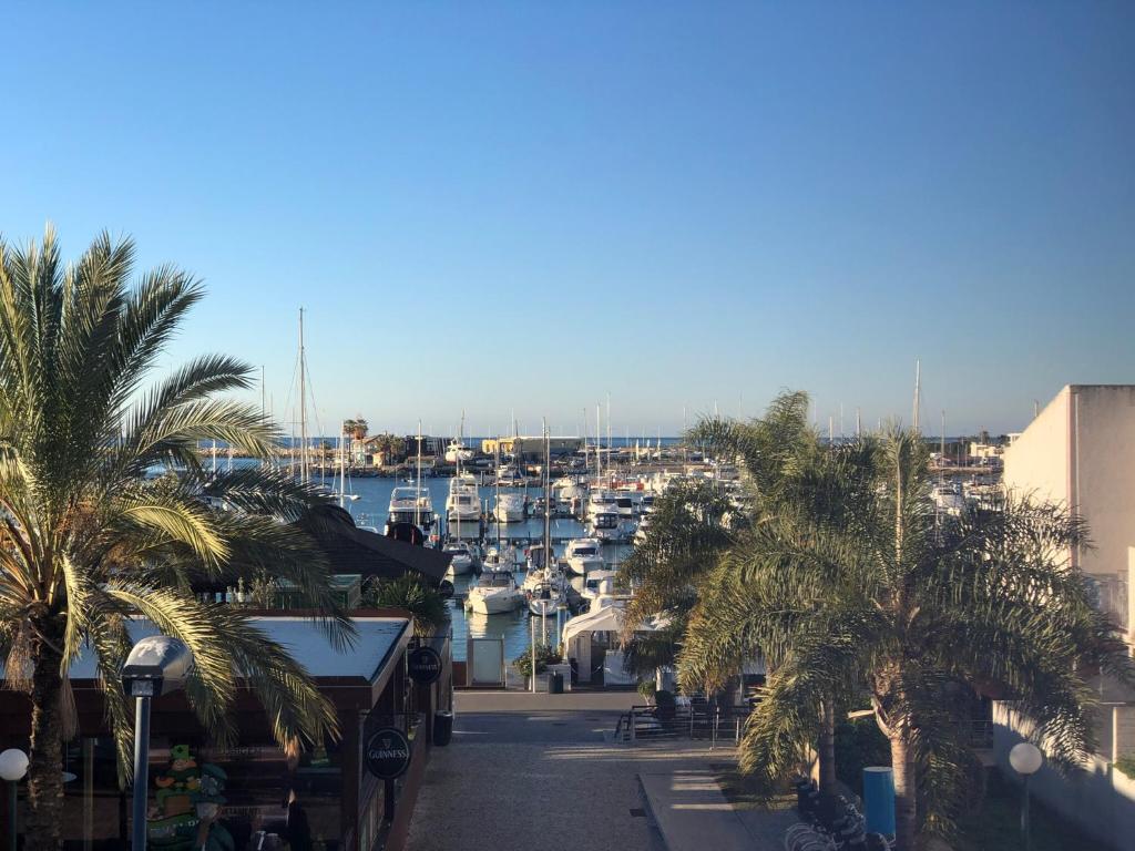 vistas a un puerto deportivo con barcos y palmeras en Casa da marina, en Vilamoura