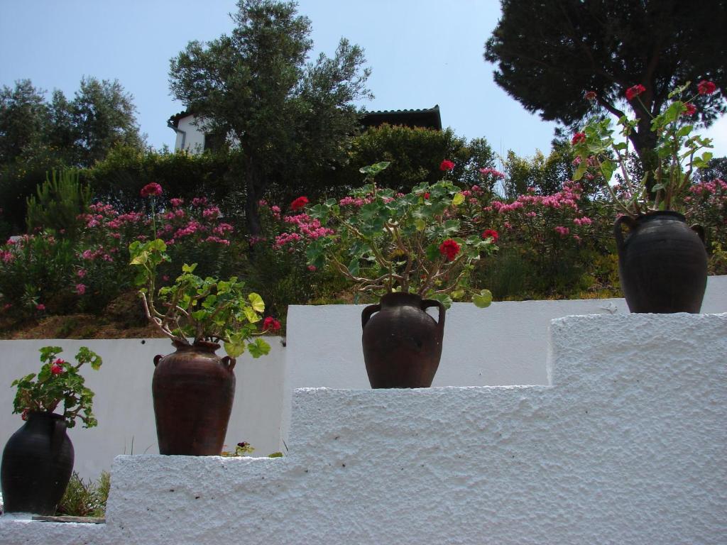 Jardin de l'établissement Villa Frideriki