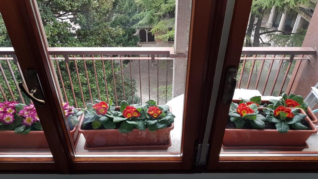 tres macetas sentadas en el alféizar de una ventana en B&B Xenia, en Pordenone