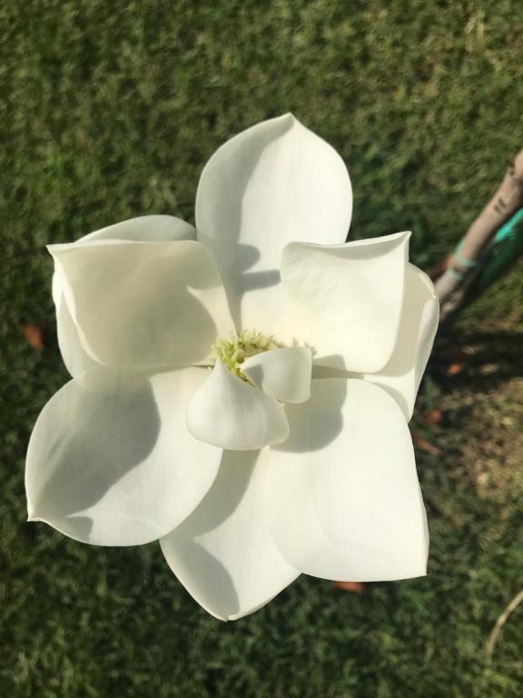 Kallirroi Apartments - 5