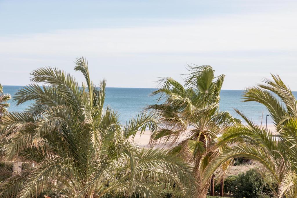 Blick auf einen Strand mit Palmen und das Meer in der Unterkunft Apartamento Calipso in El Palmar