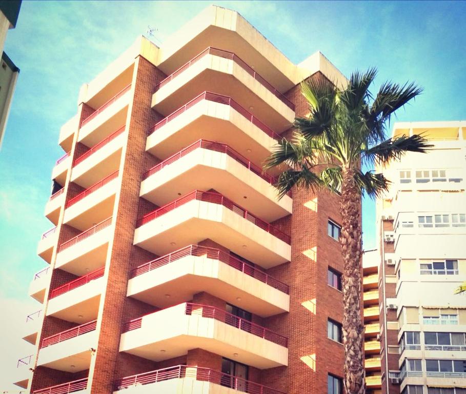ベニドルムにあるCarlos V Apartmentのヤシの木が目の前にそびえる高い建物