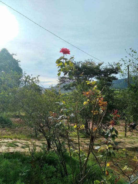  Sitio Vale das Montanhas
