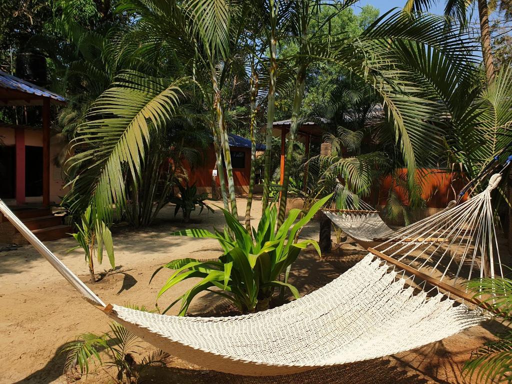 Zahrada ubytování Palm Forest Palolem