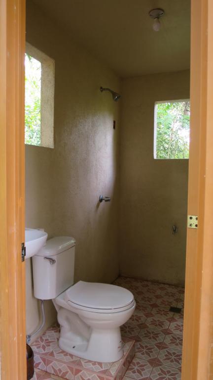 ein Badezimmer mit einem weißen WC und zwei Fenstern in der Unterkunft Lazy Lizard Hostel in Siquijor