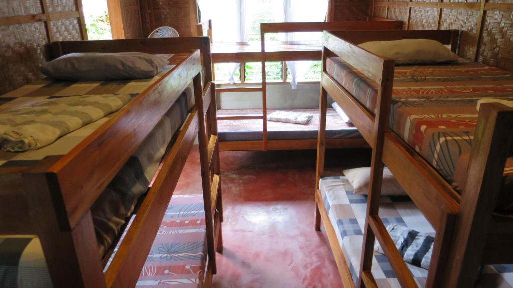 Ein Bett oder Betten in einem Zimmer der Unterkunft Lazy Lizard Hostel