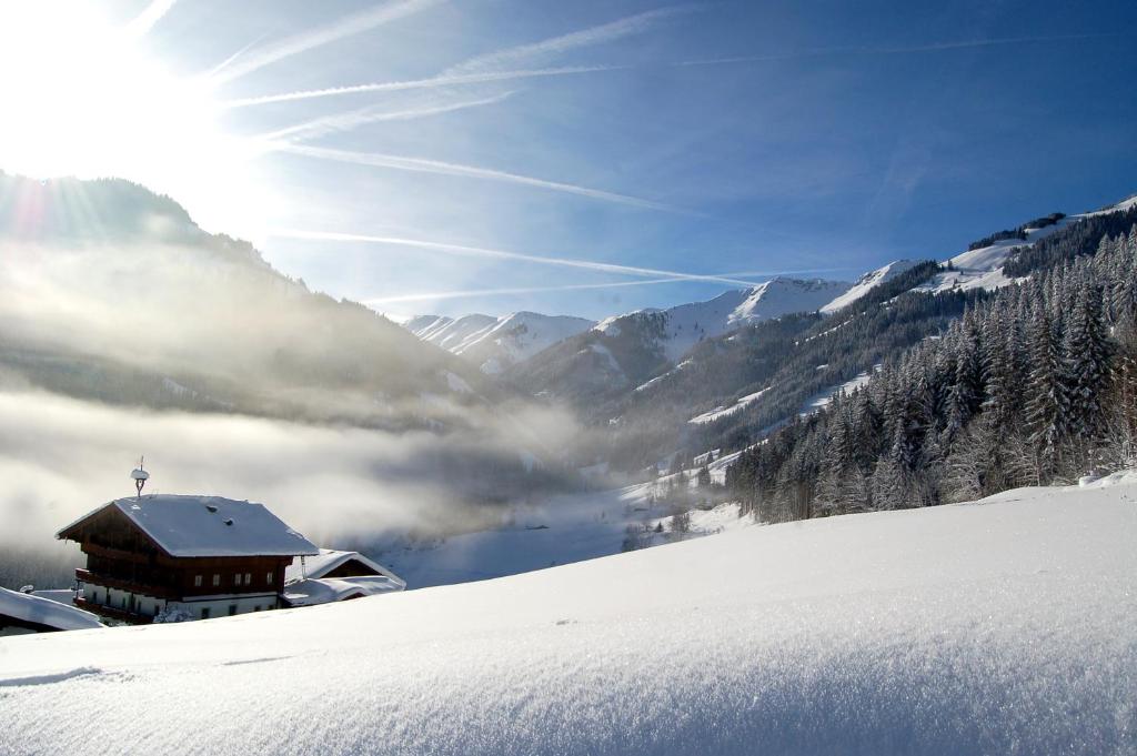Un paisaje natural cerca del departamento