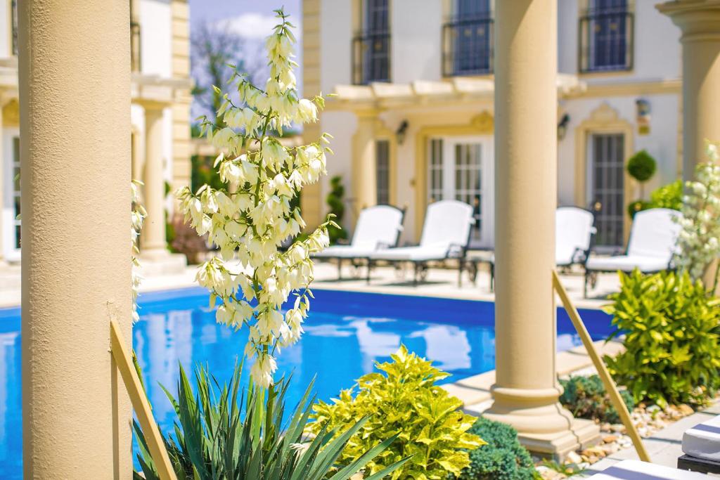 Bazén v ubytování Luxury-Villas nebo v jeho okolí