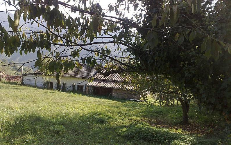 Vive Asturias en casa de aldea buhardilla típica, Campomanes ...