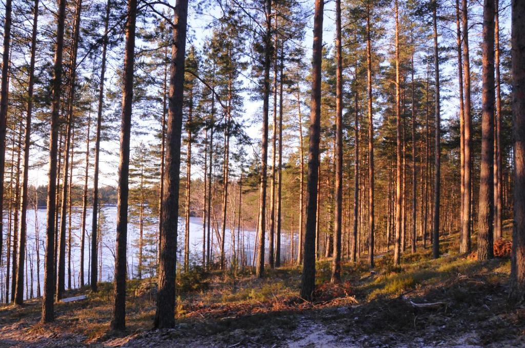 Fotografie z fotogalerie ubytování Kultajärvi Holiday Home v destinaci Rastinniemi