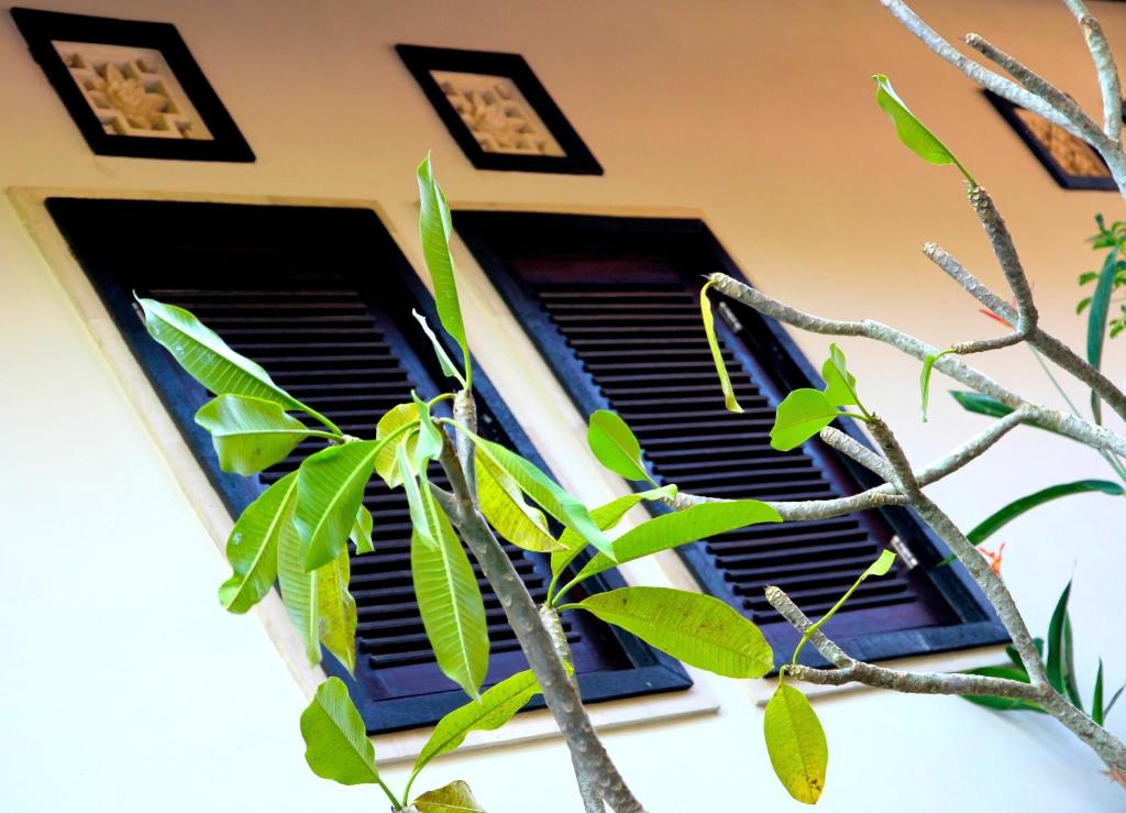 Fotografie z fotogalerie ubytování Latugu Homestay Ubud v Ubudu