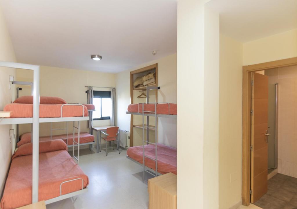 Łóżko lub łóżka piętrowe w pokoju w obiekcie Albergue Inturjoven Algeciras-Tarifa