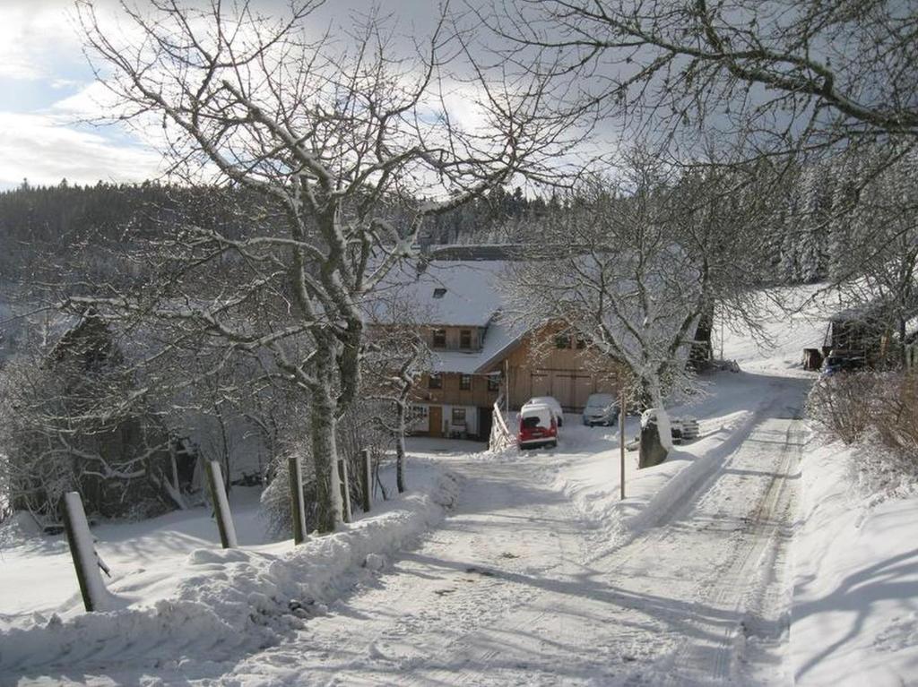 Sigmundenhof בחורף