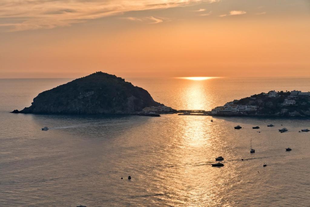 Príroda v okolí apartmánu
