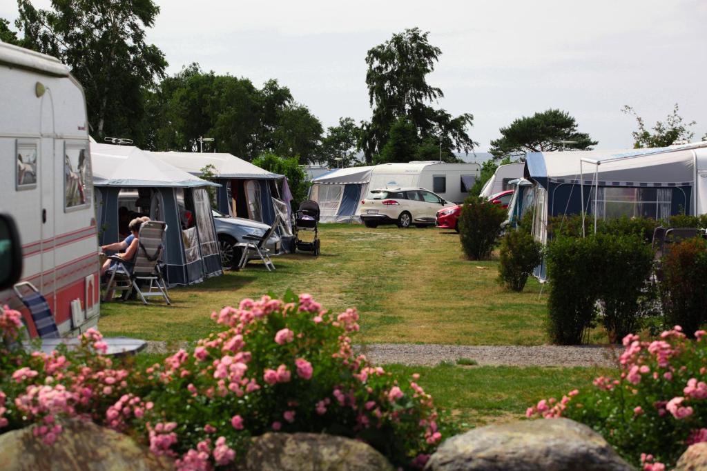 Zahrada ubytování Hasle Camping (Empty Lots)