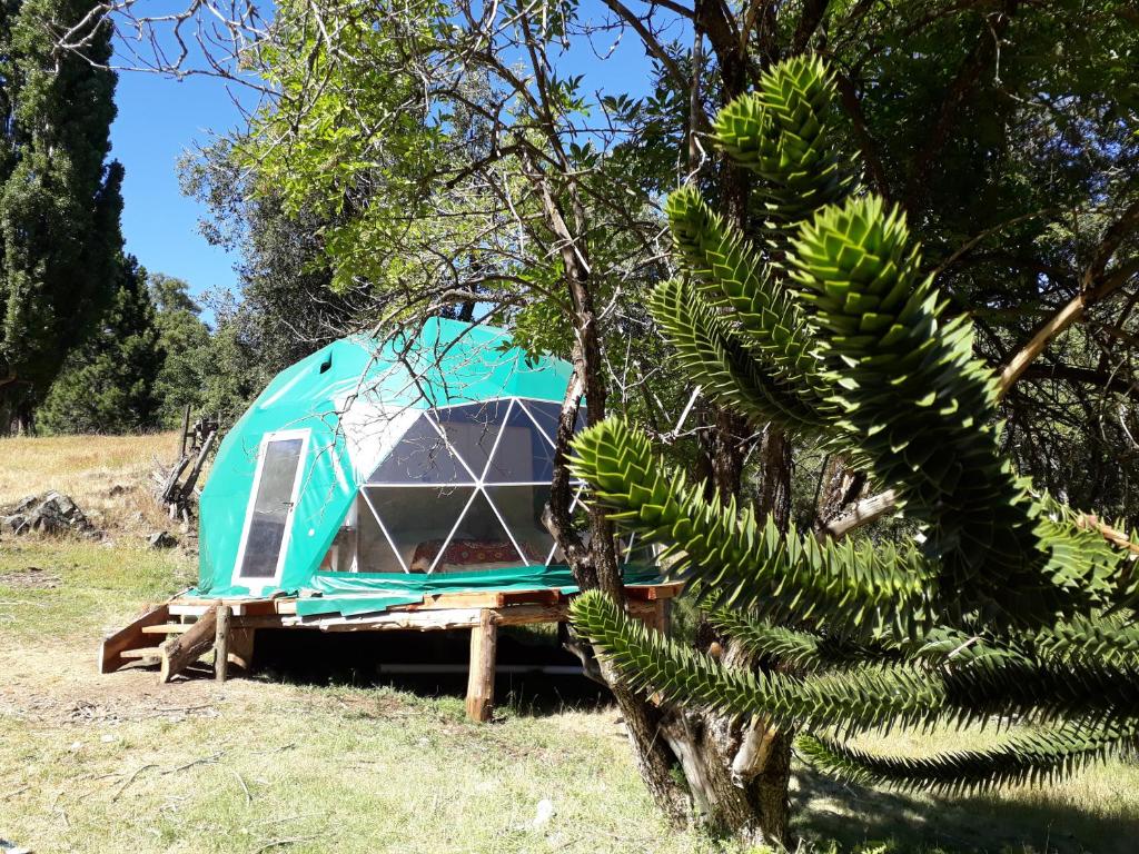 una tienda azul sentada en una mesa en un campo en El Cipresal - Domo Fiofio en San Martín de los Andes