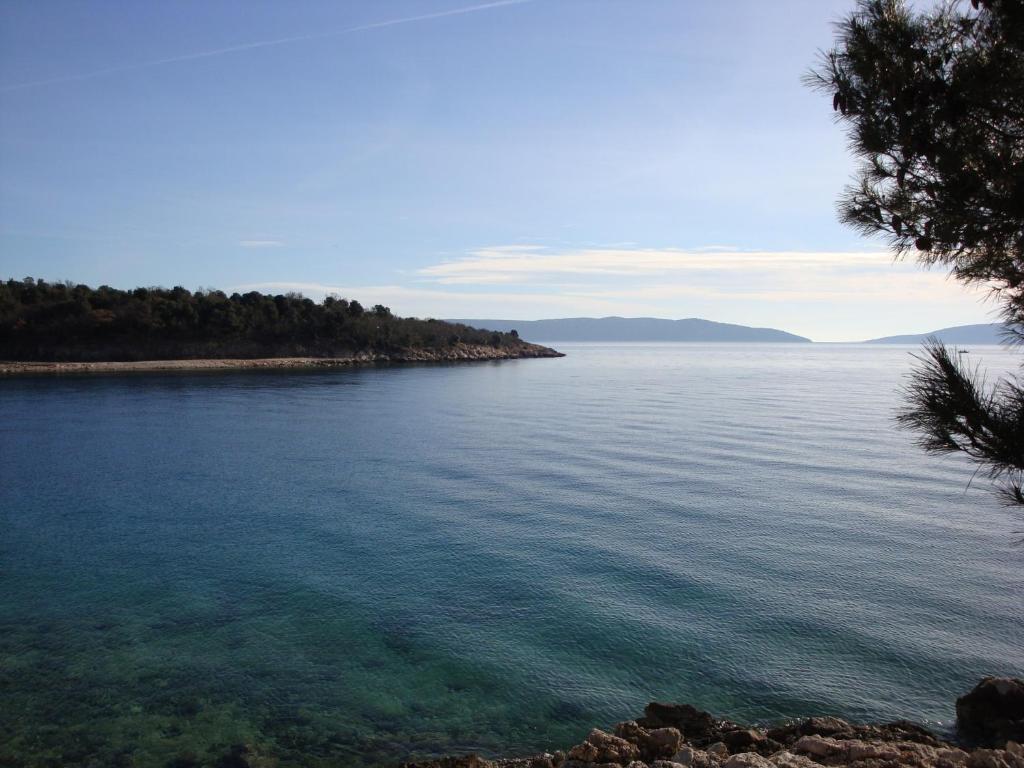a view of a large body of water at Apartments Olea in Pinezici