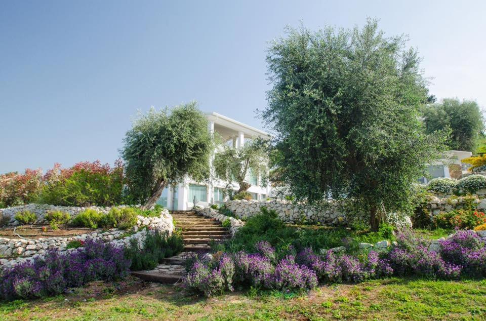 Ogród w obiekcie Max Luxury Suite - Servizio Spiaggia Inclusa