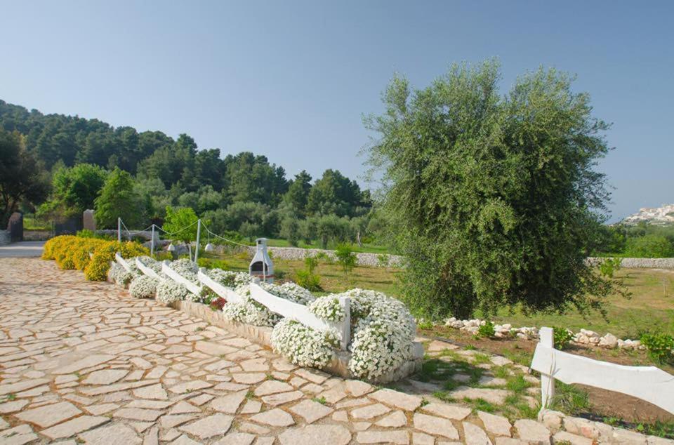 Przyroda w pobliżu tego obiektu B&B