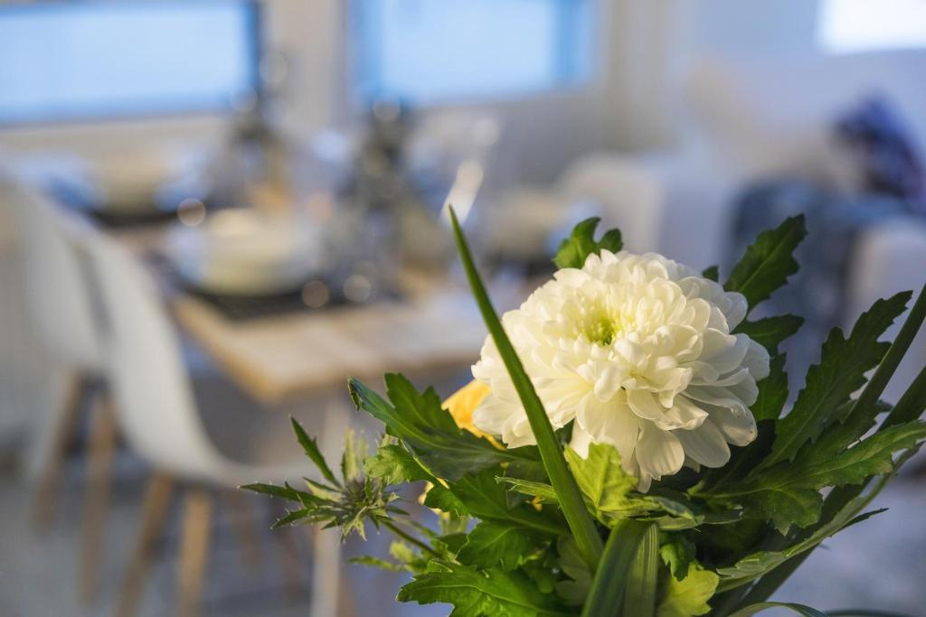 un jarrón lleno de flores blancas en una mesa en Vasko luxurious suites, Livo, en Rovaniemi
