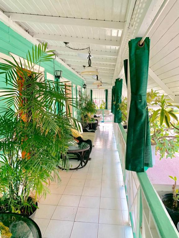 Fotografie z fotogalerie ubytování Seaview Inn v Basseterre