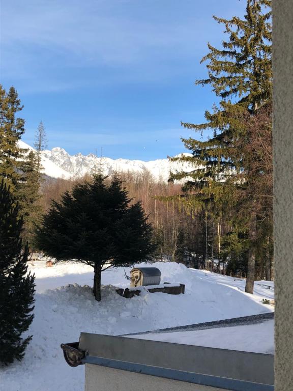 une cour enneigée avec un arbre et une montagne dans l'établissement Mountain View Apartment, à Štôla