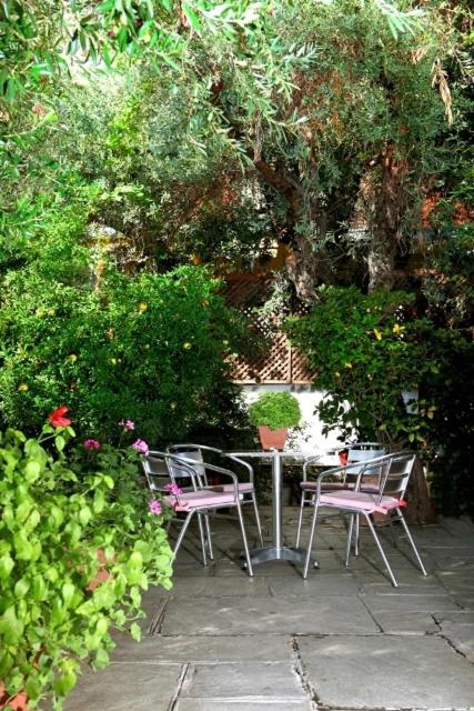 Zahrada ubytování Hotel Dimoula