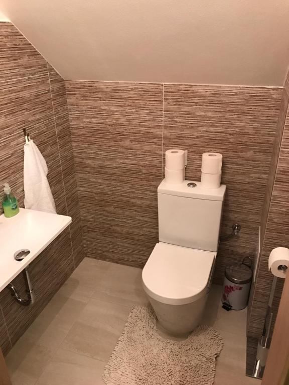 Koupelna v ubytování Vila Pasečná - Lipno
