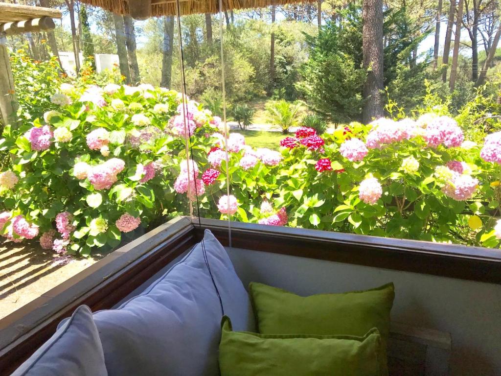una ventana con un sofá delante de las flores en CASA MARÍTIMA EN PORTEZUELO, MALDONADO, URUGUAY, en Punta del Este