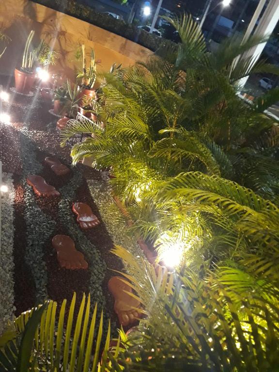 Zahrada ubytování Hotel Sempre Bahia