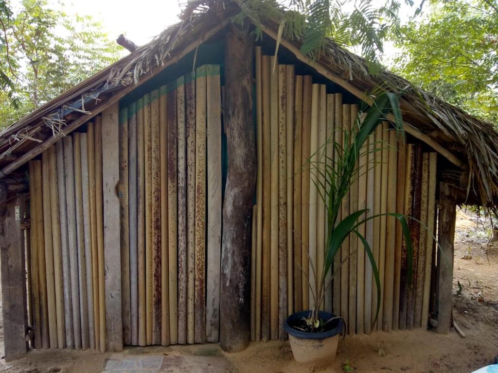  Refúgio do Raiz Camping