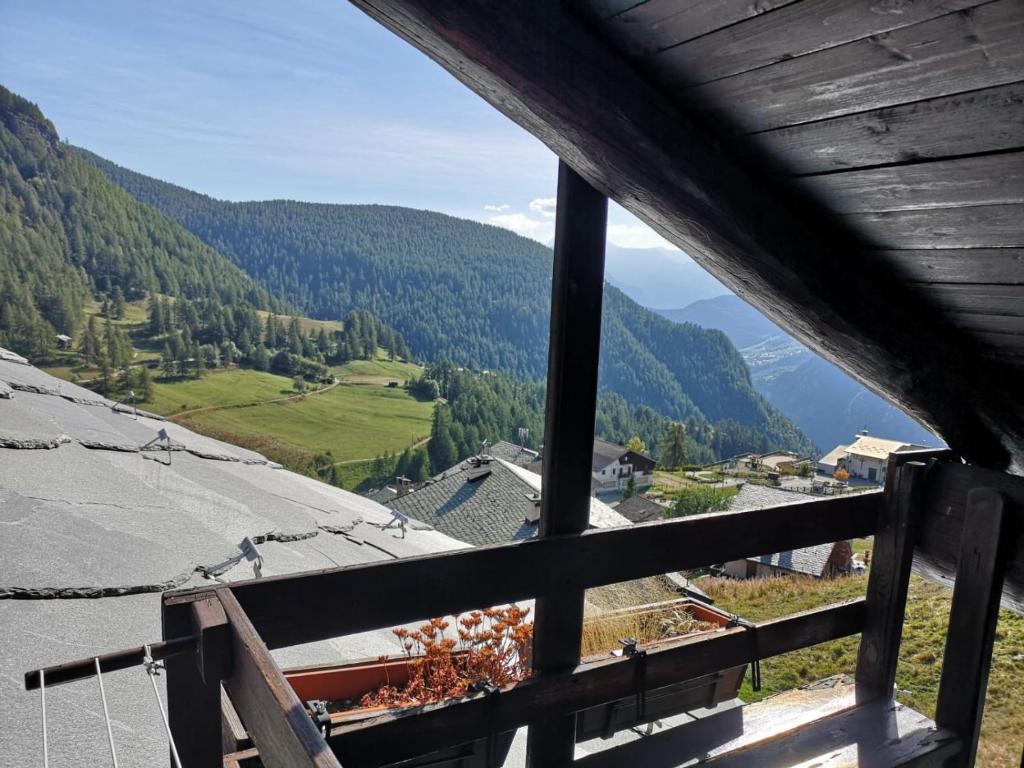 Příroda nedaleko apartmánu