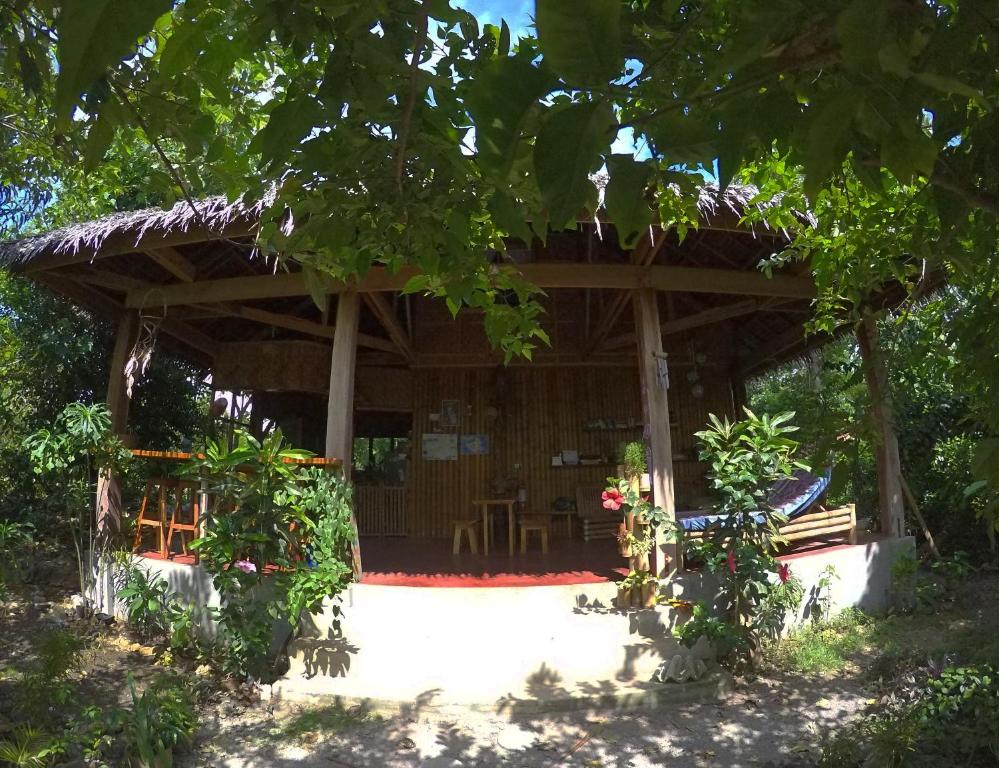 Ein Garten an der Unterkunft Lazy Lizard Hostel