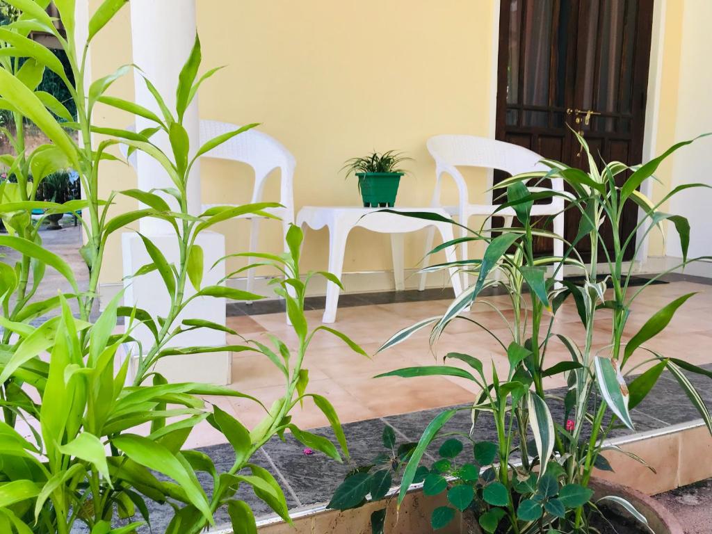 Zahrada ubytování Unique Villa
