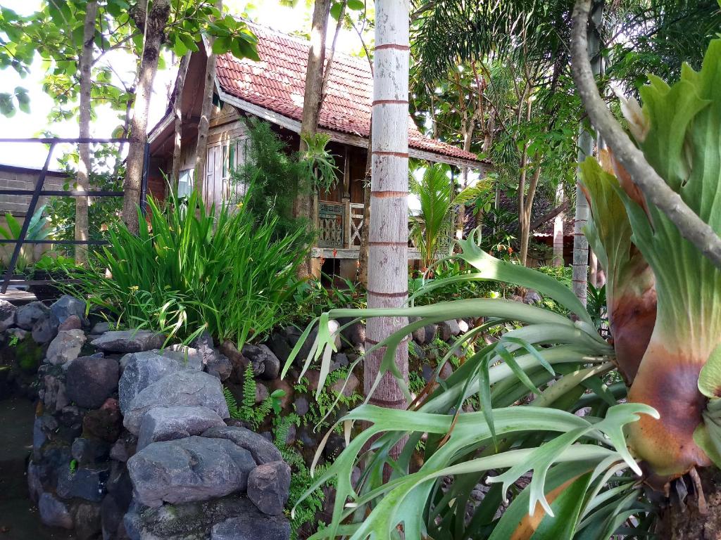 a garden in front of a house with plants at Kubu Reod in Singaraja