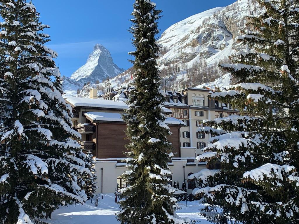 un complexe dans les montagnes avec des arbres enneigés dans l'établissement Villa Emeline, à Zermatt