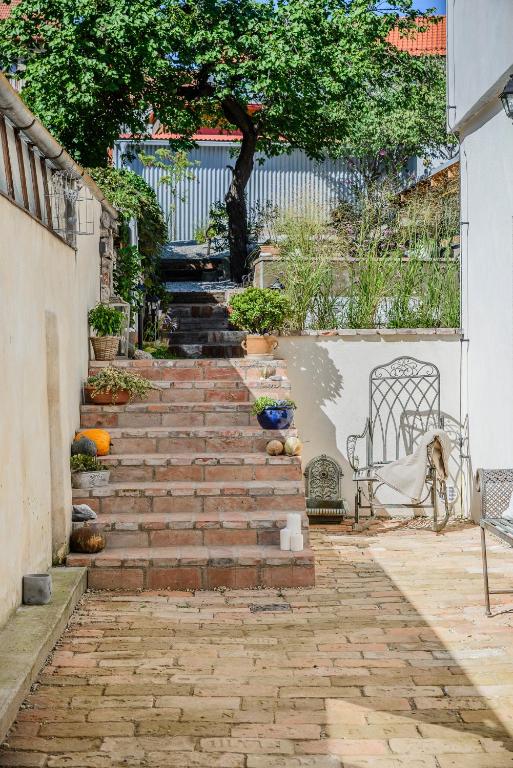 Zahrada ubytování Mikulov Apartmány MAGISTR
