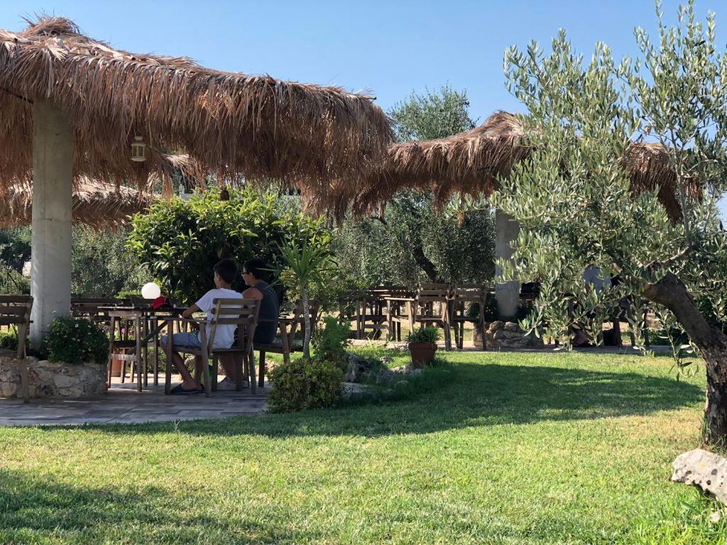 Zahrada ubytování B&B Le Cicale