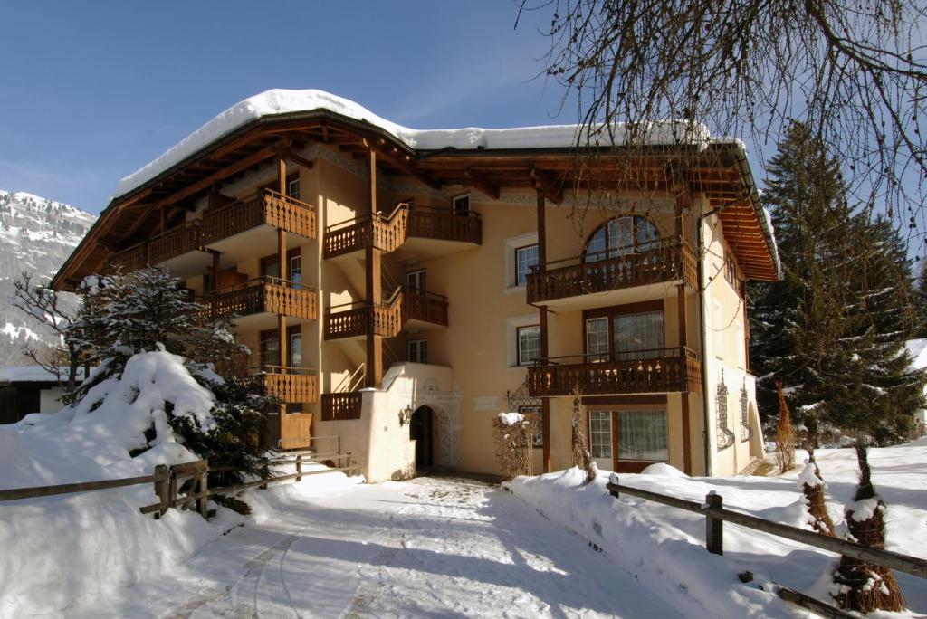 Soldanella by Hotel Adula during the winter