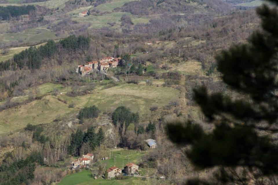 Príroda v okolí of the bed and breakfast