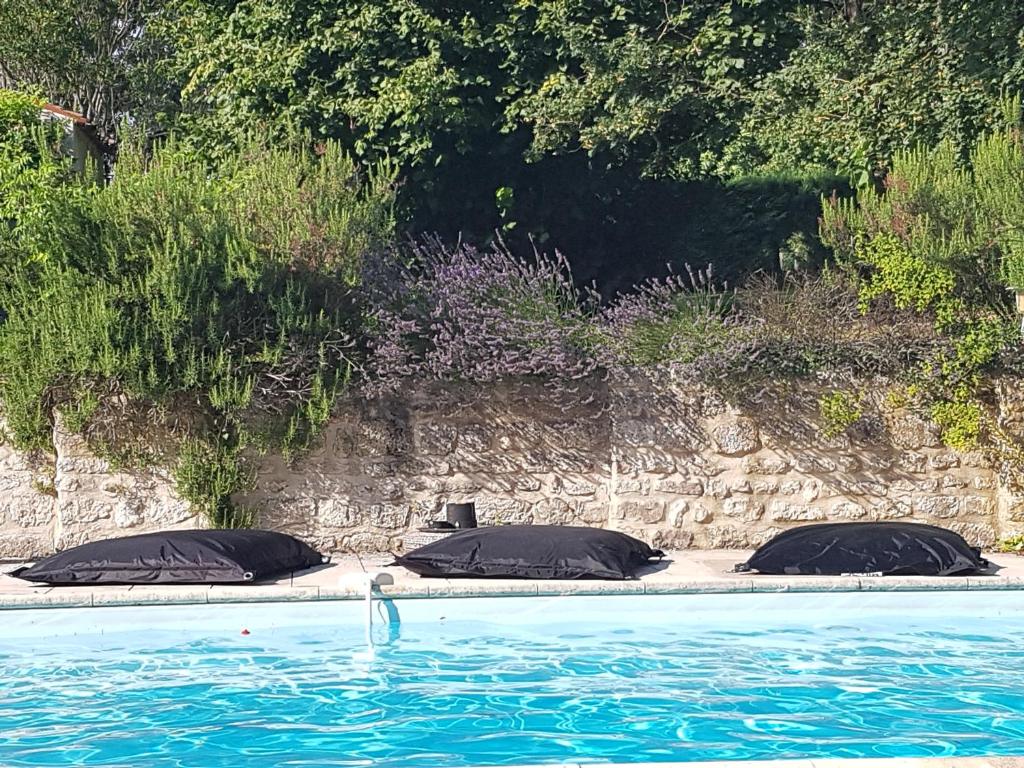 dos almohadas sentadas al lado de una piscina en La Loge du Grand Cèdre, gîte de charme en Fontcouverte
