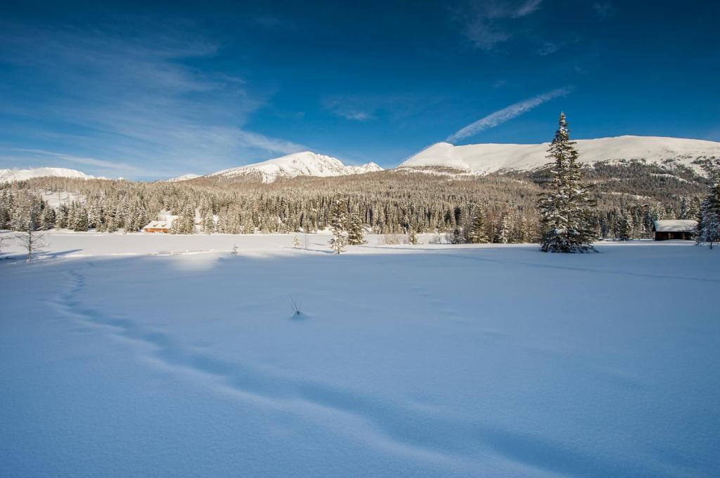 Ludlalm am Prebersee v zimě