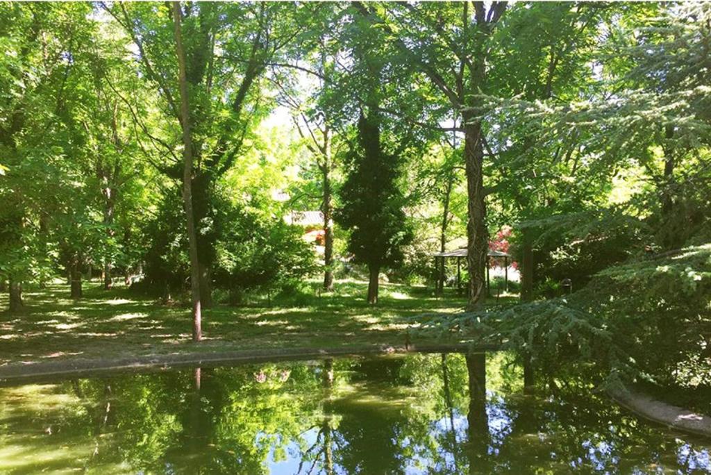 a reflection of trees in a body of water at Serendip in Avignon